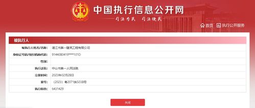 湛江市第一建筑工程新增被执行人信息引关注，舜元工程信息协同平台凸显行业风险预警功能